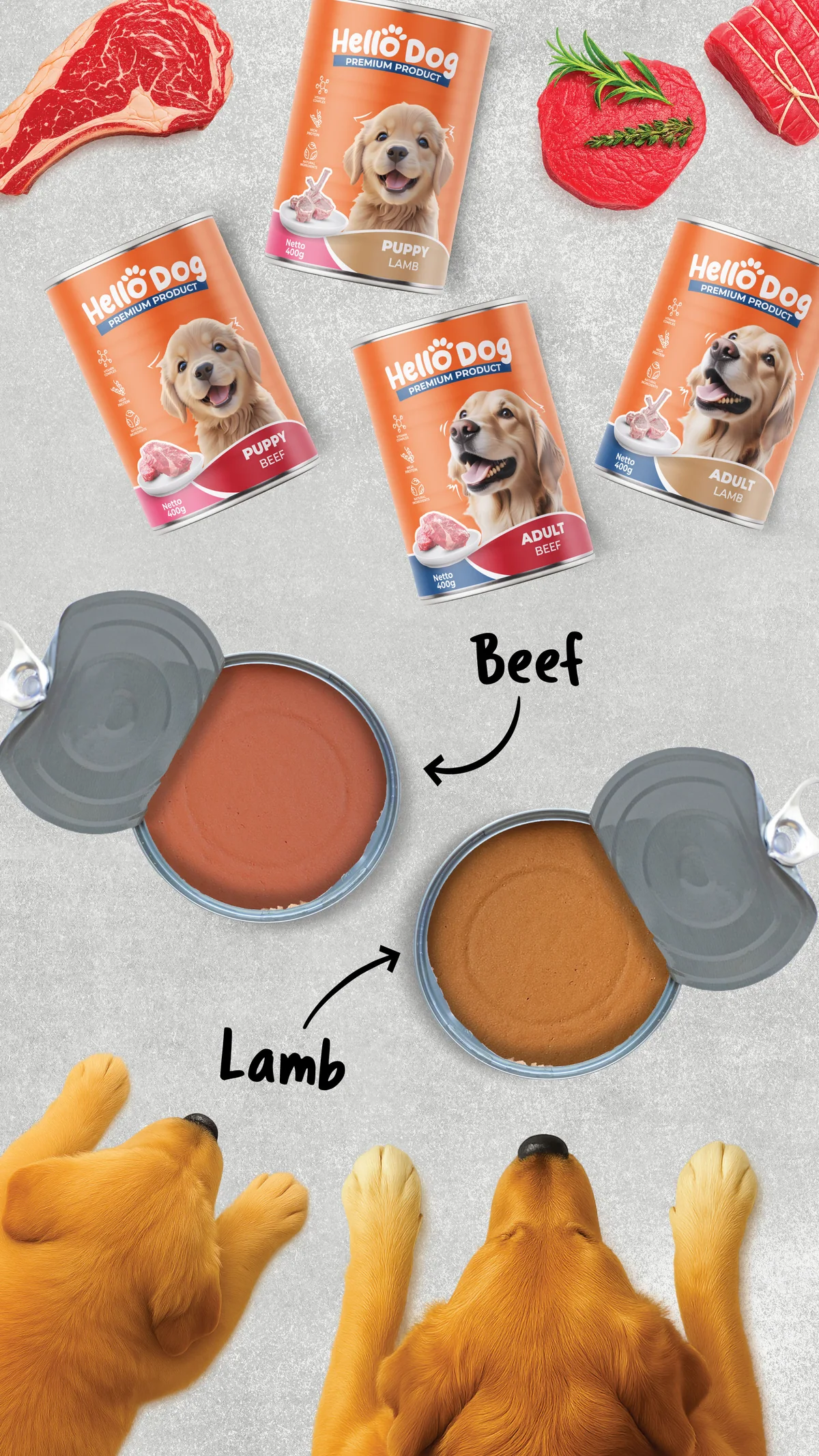 Visual promosi produk HelloDog untuk media digital